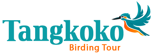 Tangkoko Birding Tour